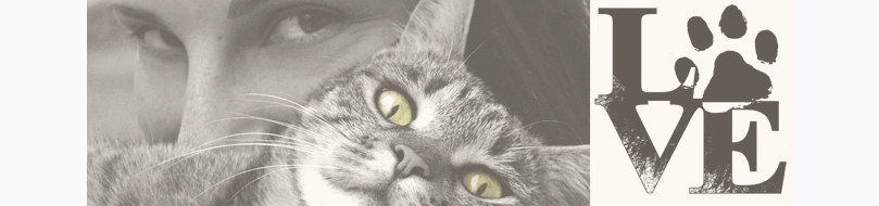 ideias astrologia animais4
