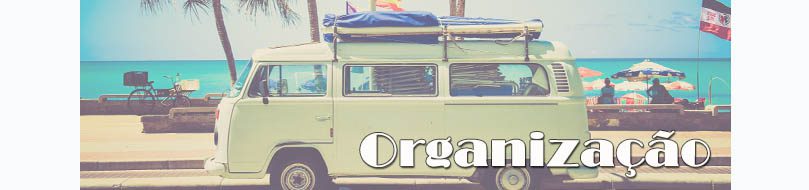 Organização no seu carro 2 organiza carro destaque