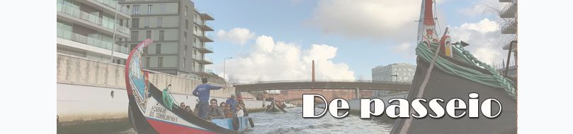 de passeio aveiro destaque