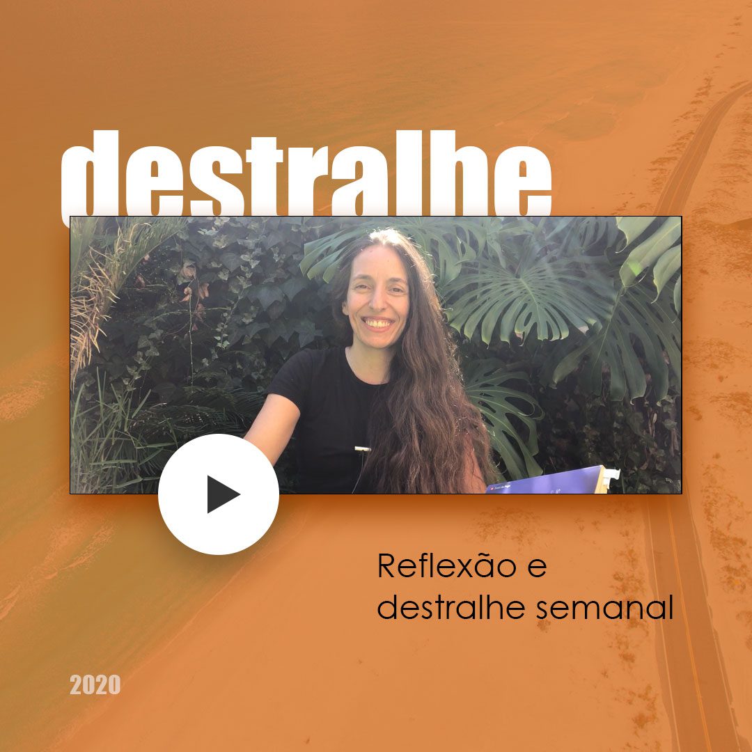 artigo reflexao e destralhe4