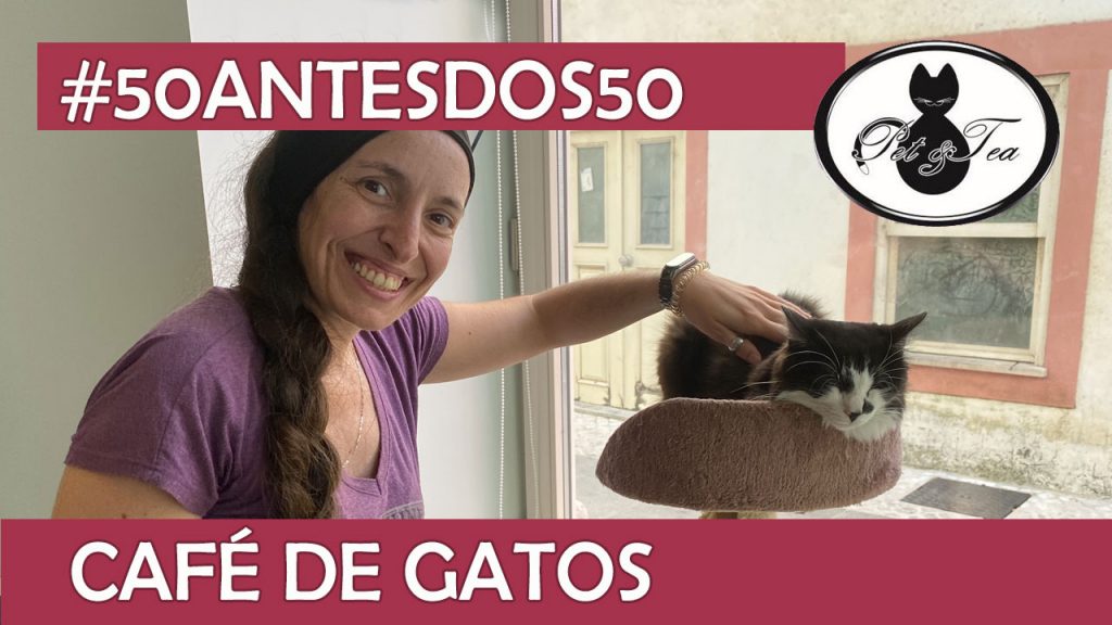 Visitei um café de gatos 10 908 Visitei um cafe de gatos 2 de 50