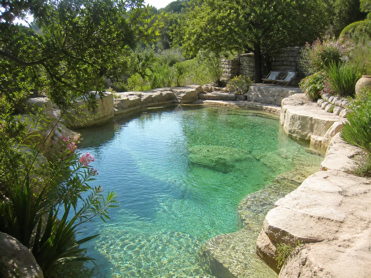 Inspiração: água 2 Piscina natural de água límpida rodeada de vegetação
