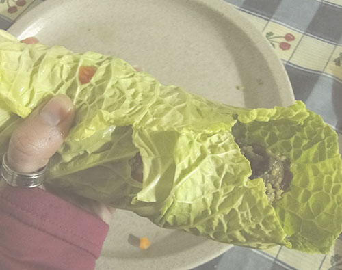 Wraps vietnamitas 2 ideias_wraps_foto10