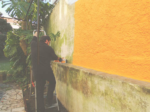 parede_branca_quintal_durante